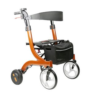 E-TRAVELLER EVO WALK - Image 1